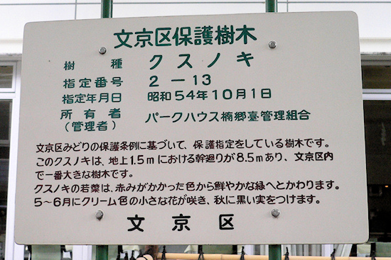 文京区保護樹木標識