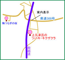 上久津呂のツバキ・キクザクラ　マップ