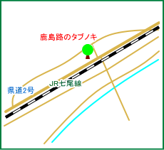 鹿島路のタブノキ　マップ