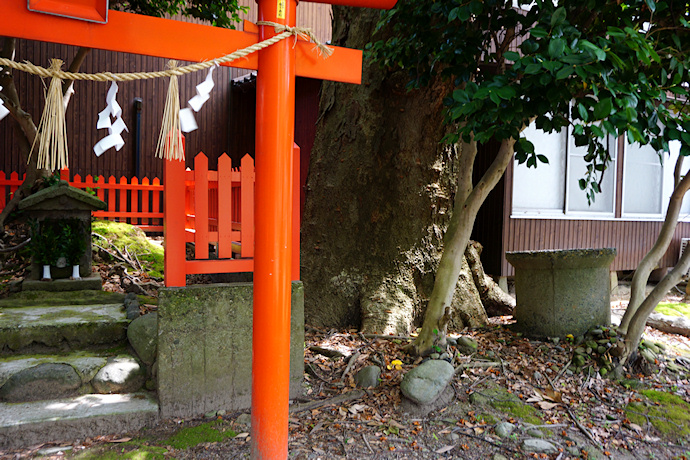 猿丸神社のケヤキ