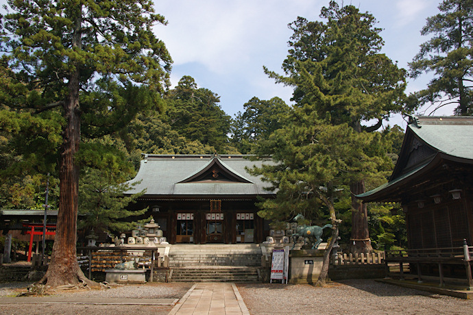 菅生石部神社のスギと拝殿