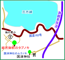姫宮御前のタブノキ　マップ