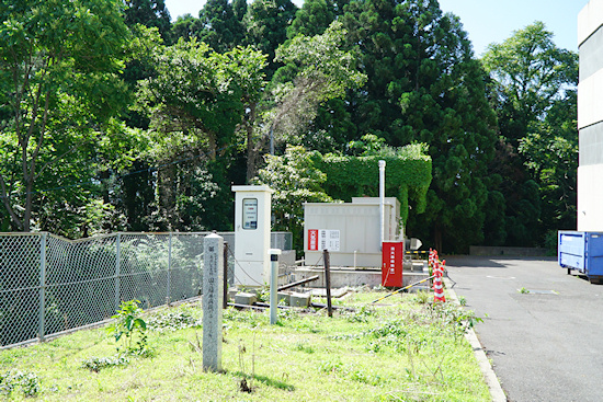 敦賀医療センターのユーカリ跡