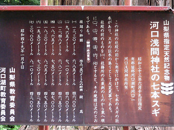 河口浅間神社の七本スギ・説明板