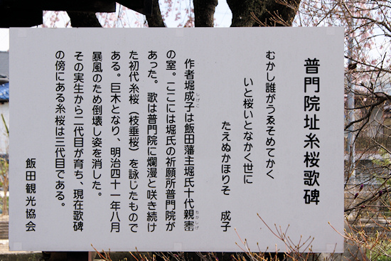普門院跡の糸桜説明板
