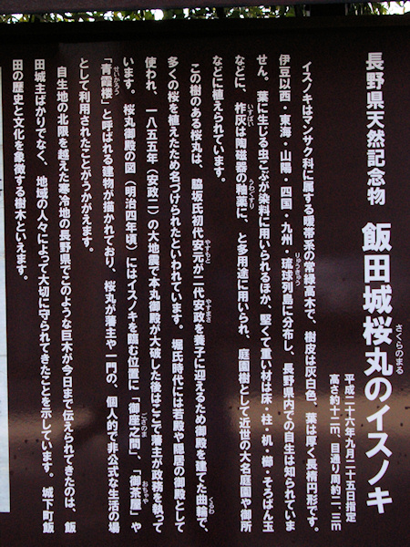飯田城桜丸のイスノキ説明板