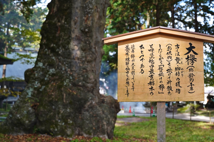 贄掛の大欅　説明板