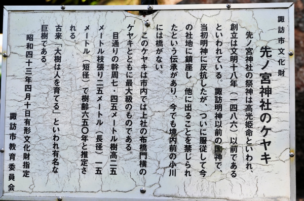 先ノ宮神社のケヤキ説明板