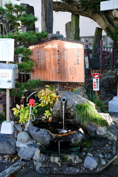 槻井泉神社の湧水