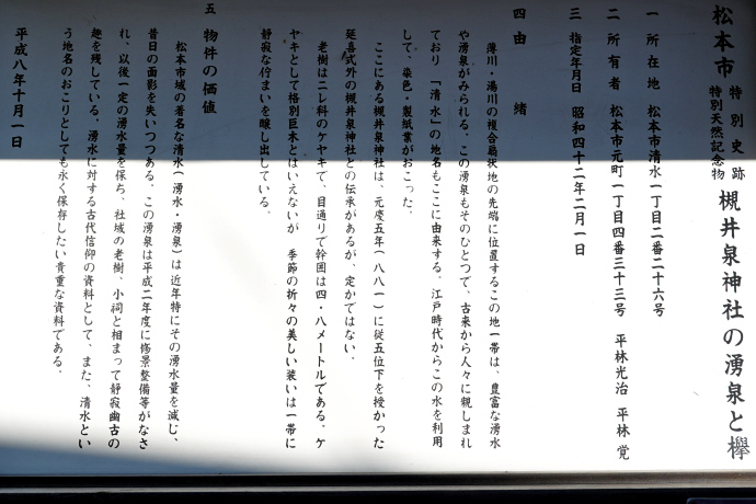 槻井泉神社の湧泉と欅　説明板