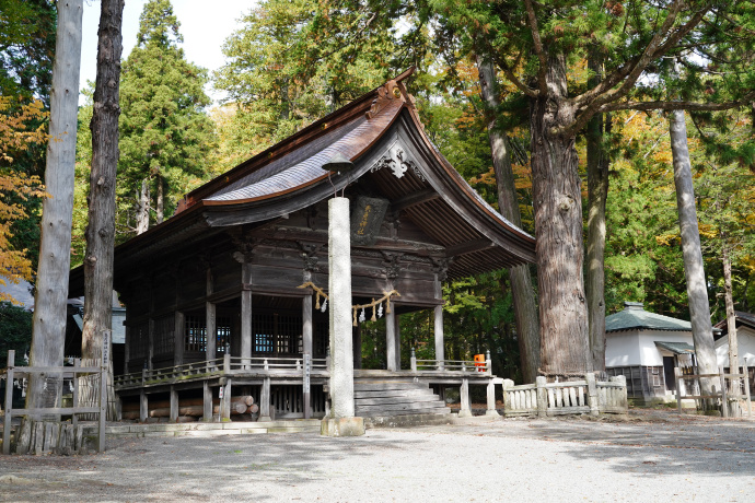 矢彦神社のスギ