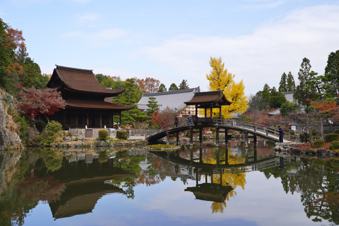 永保寺のイチョウと観音堂