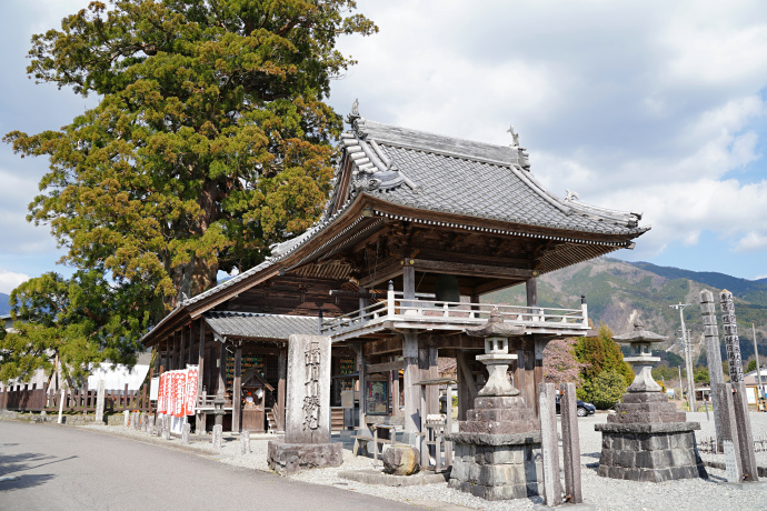 かしも大杉地蔵尊と大スギ