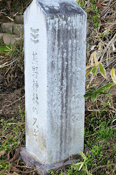 熊野神社のスギ石碑