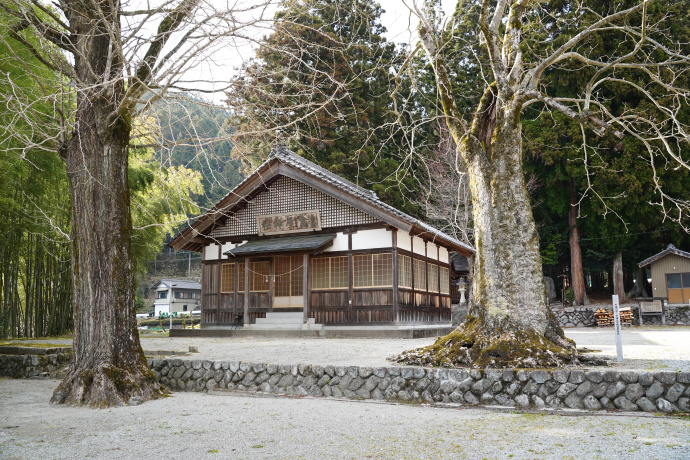 倉屋神社のムクロジ