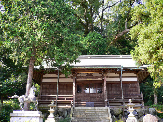 松山諏訪神社の社殿と大クス