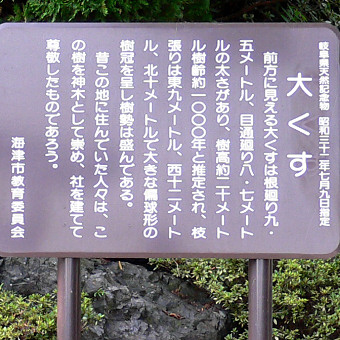 松山諏訪神社の大クス説明板