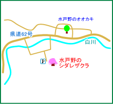 水戸野のシダレザクラ　マップ