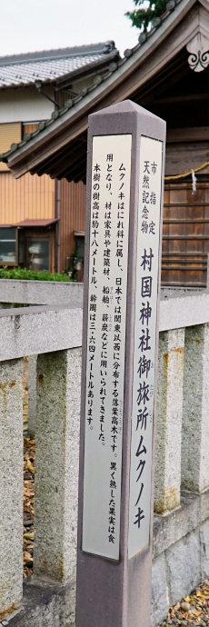 村国神社御旅所のムクノキ標柱