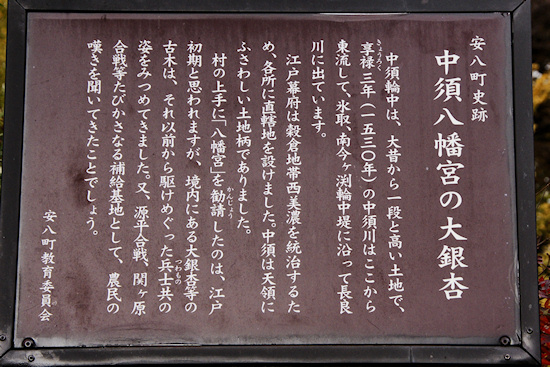 中須八幡宮の大銀杏説明板