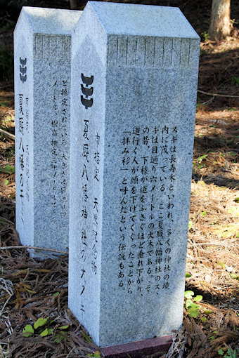 夏厩八幡神社の大スギ・モミ石碑