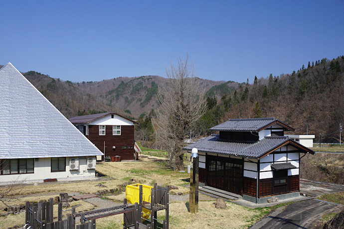 蓮徳寺とイチョウ