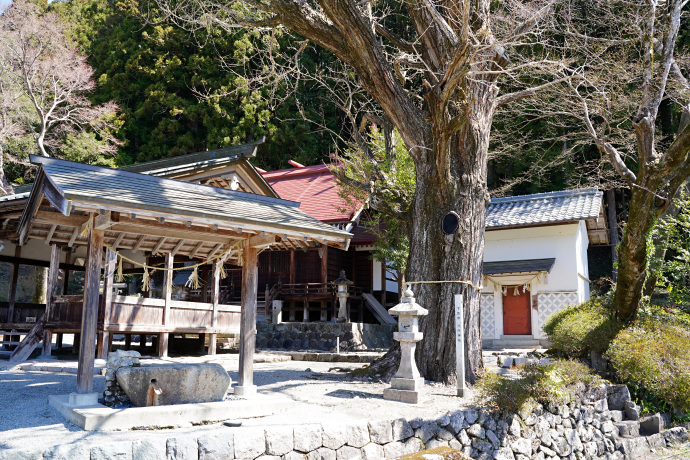 六所神社のイチョウ