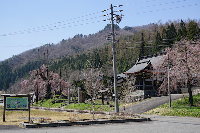 西光寺と枝垂れ桜