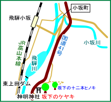 坂下のケヤキ　マップ