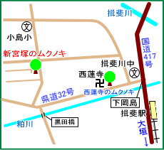 新宮塚のムクノキ・マップ
