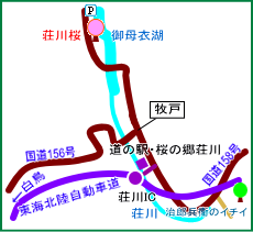 荘川桜マップ