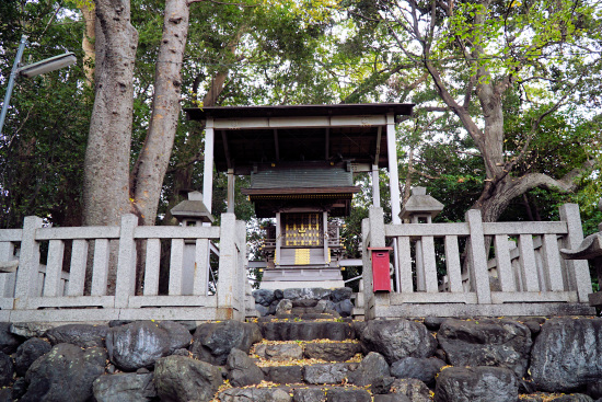 山崎八幡神社のイチョウ