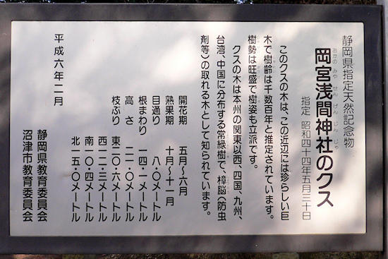 岡宮浅間神社のクス説明板