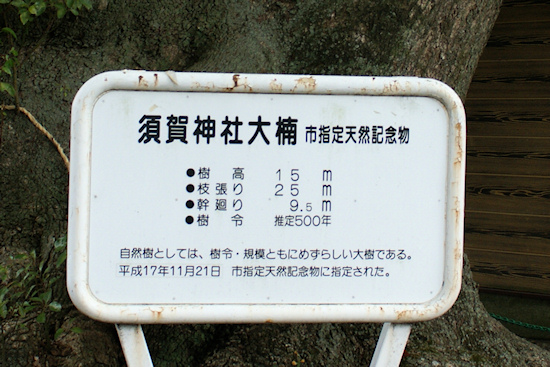 須賀神社大楠説明板