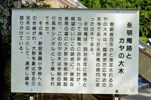 永明庵跡とカヤの大木説明板