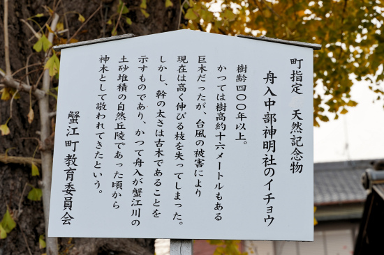 舟入中部神明社のイチョウ説明板
