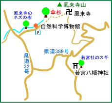 鳳来寺山の傘杉マップ