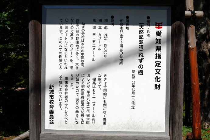 ねずの樹　説明板