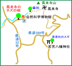 鳳来寺のネズの樹マップ