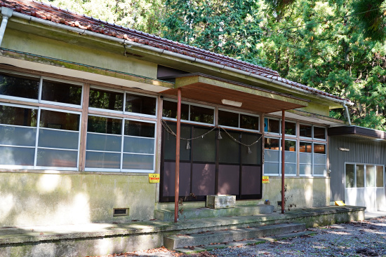 鴨ヶ谷白鳥神社のスギ