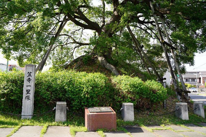 笠寺一里塚の榎