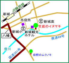 笠岩のイヌマキ　マップ