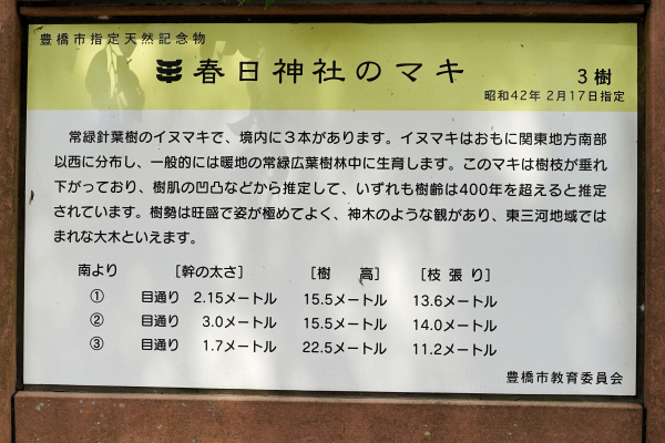 春日神社のマキ３樹説明板