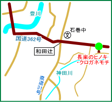 長楽のヒノキ・クロガネモチ　マップ
