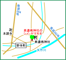 素盞鳴神社マップ