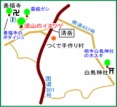 須山のイヌツゲ　マップ