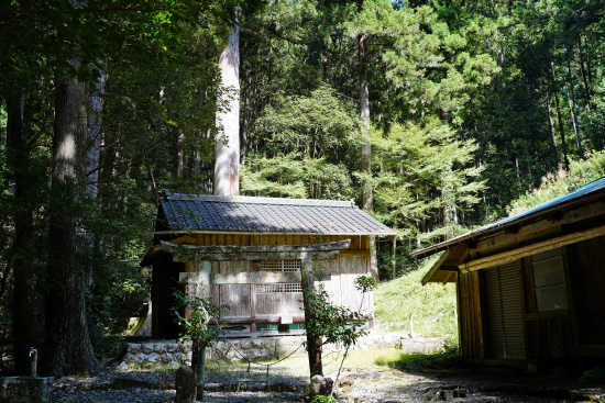 若宮八幡神社社殿