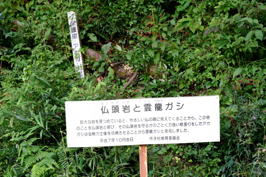 仏頭岩と雲龍ガシ説明板