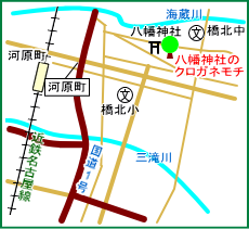 八幡神社のクロガネモチ　マップ
