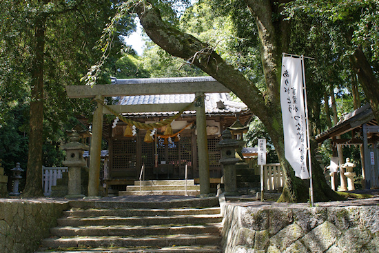 川俣神社の拝殿と社叢